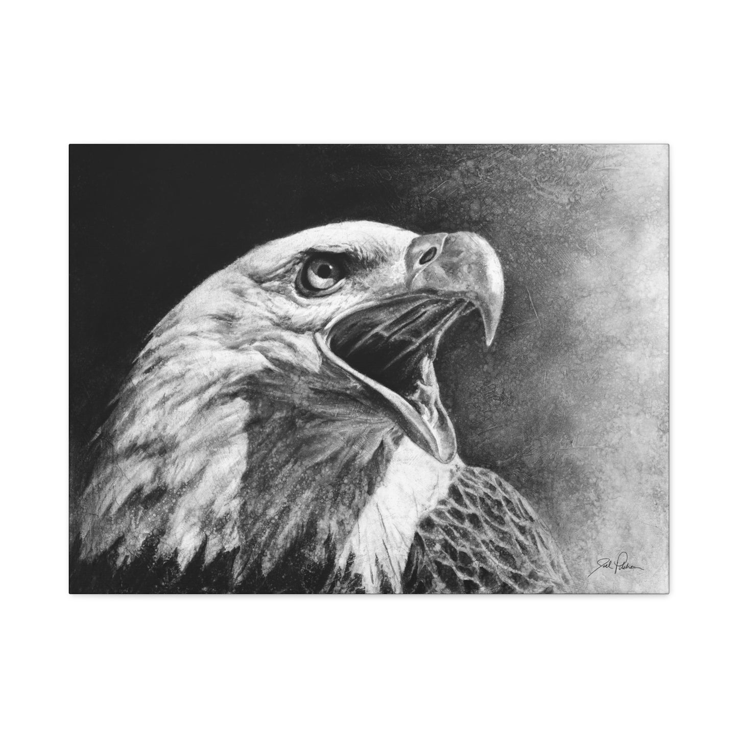 "Bald Eagle" Stretched Canvas
