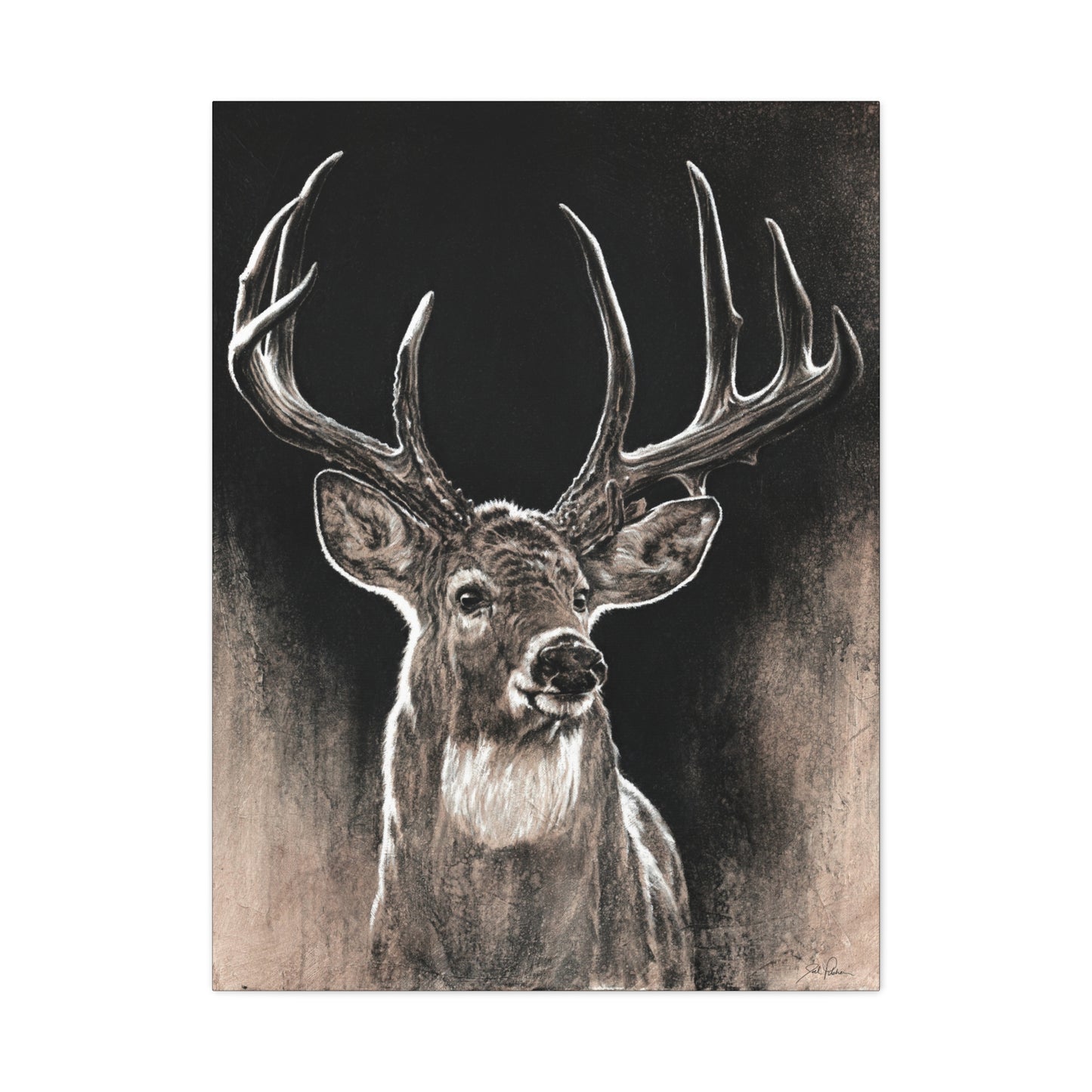 "Backlit Buck" Stretched Canvas