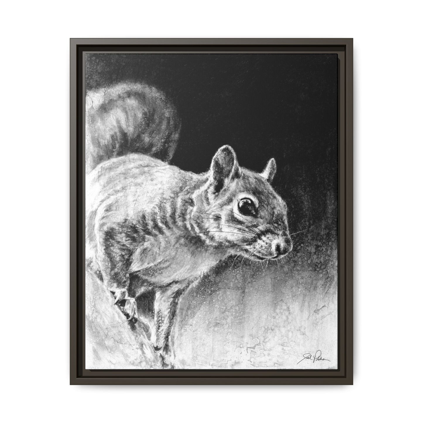 "Squirrel" Framed Canvas