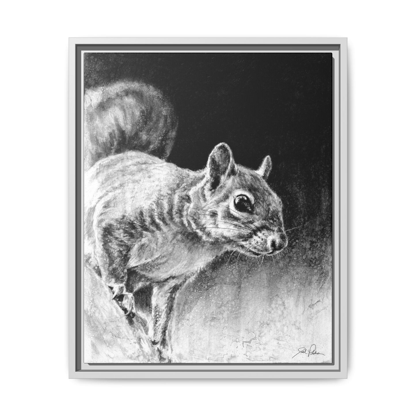 "Squirrel" Framed Canvas