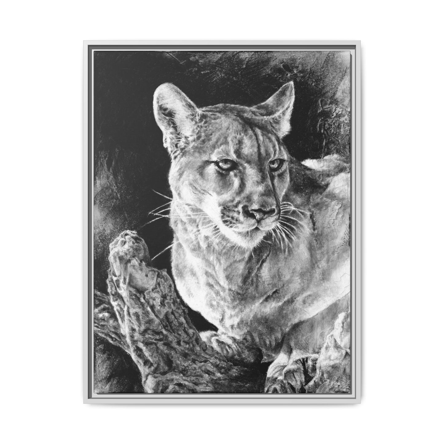 "Mountain Lion" Framed Canvas