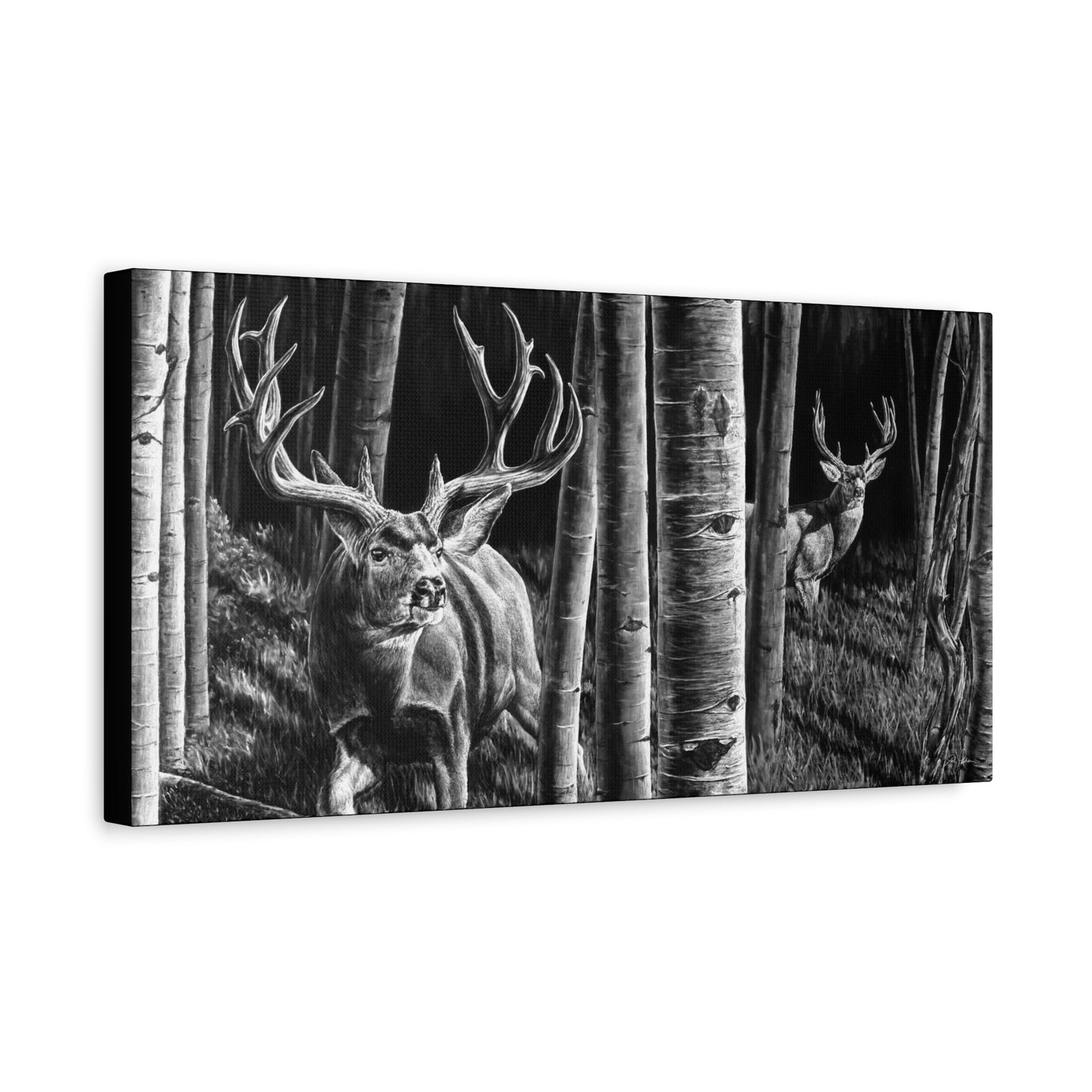 "Out of the Shadows" Stretched Canvas