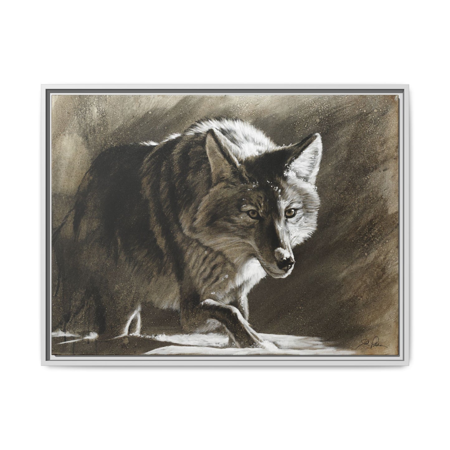 "Coyote" Framed Canvas