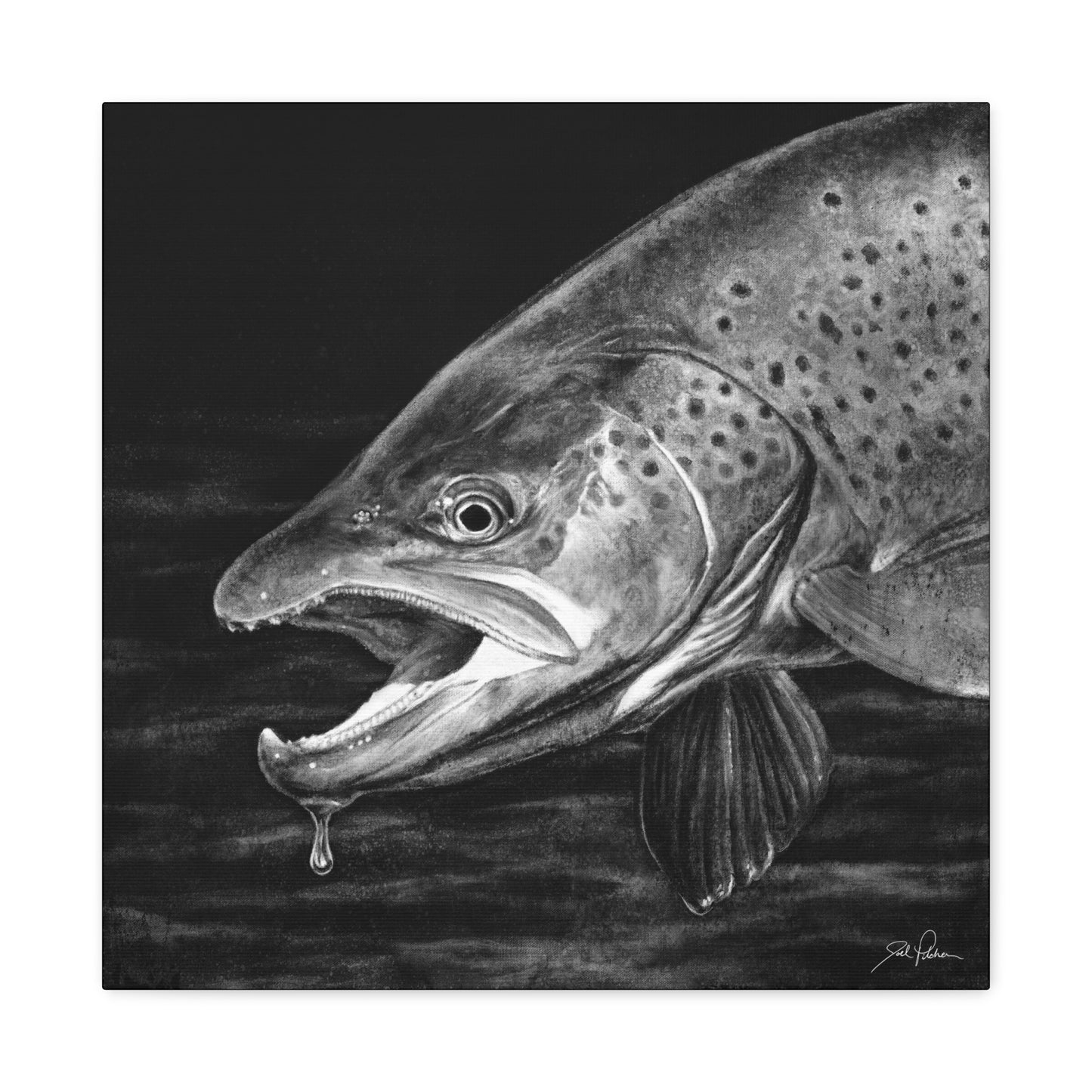 "Brown Trout" Stretched Canvas