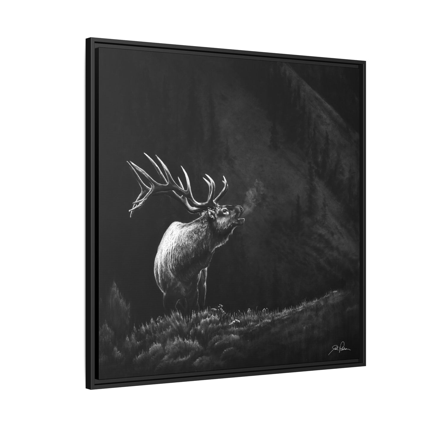"Mountain Monarch" Framed Canvas