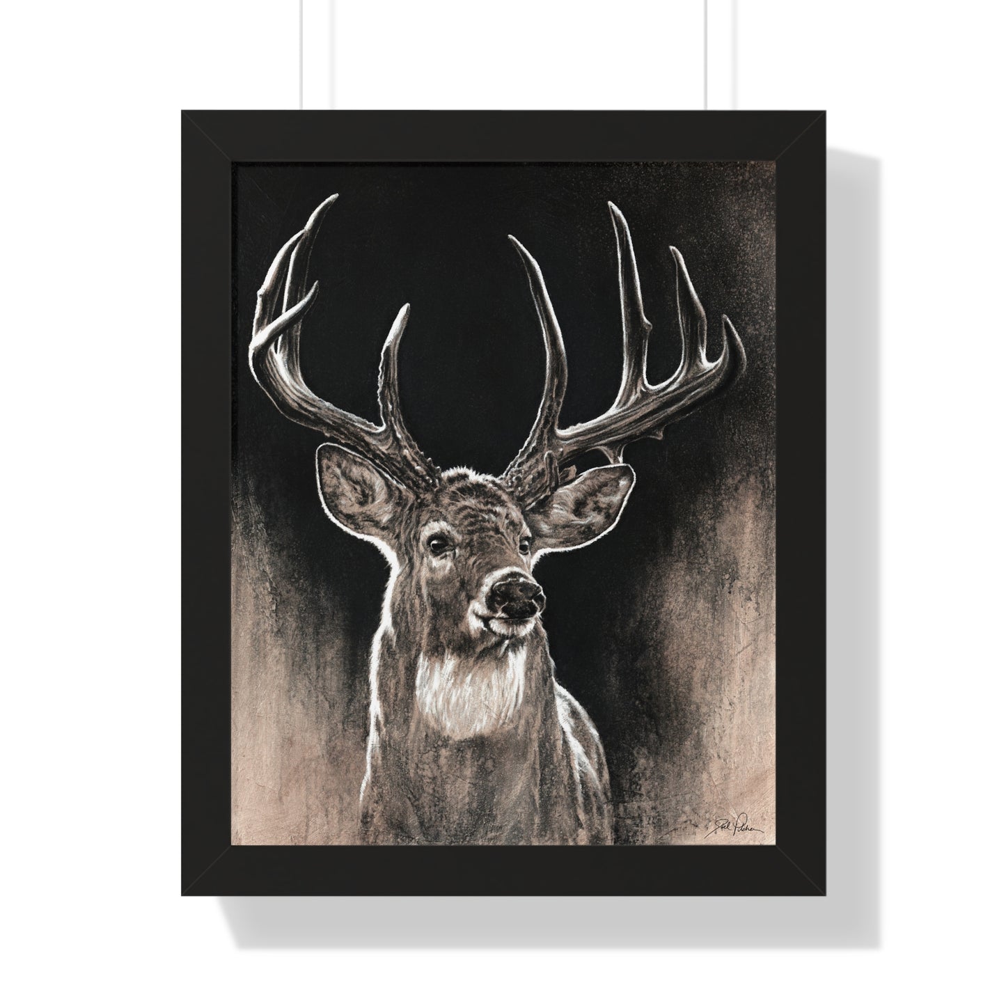 "Backlit Buck" Framed Paper Print