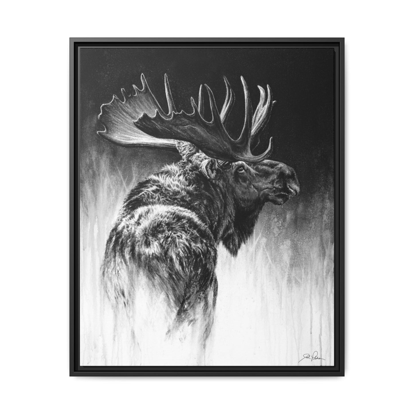 "Bull Moose" Framed Canvas