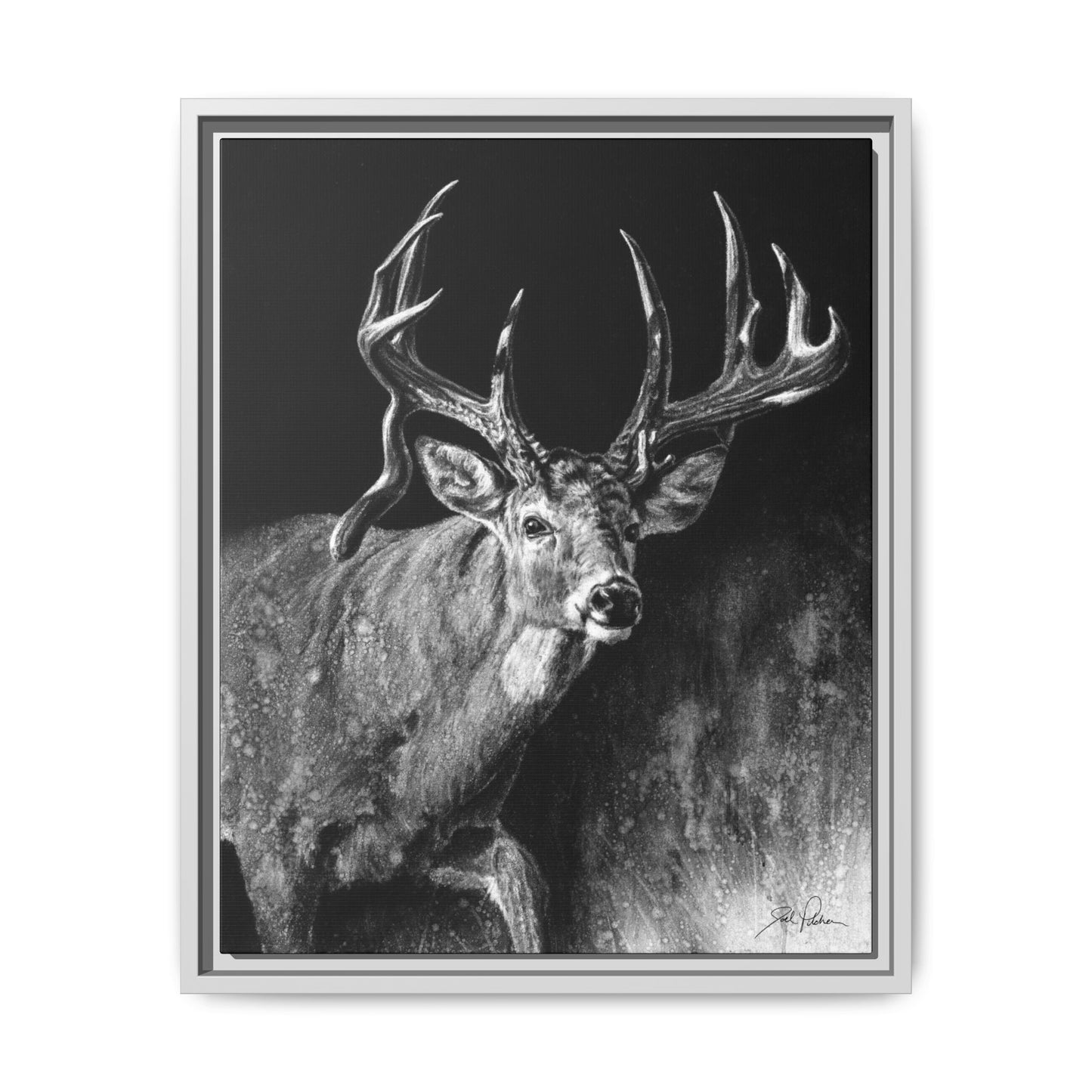 "Jaw Dropper" Framed Canvas