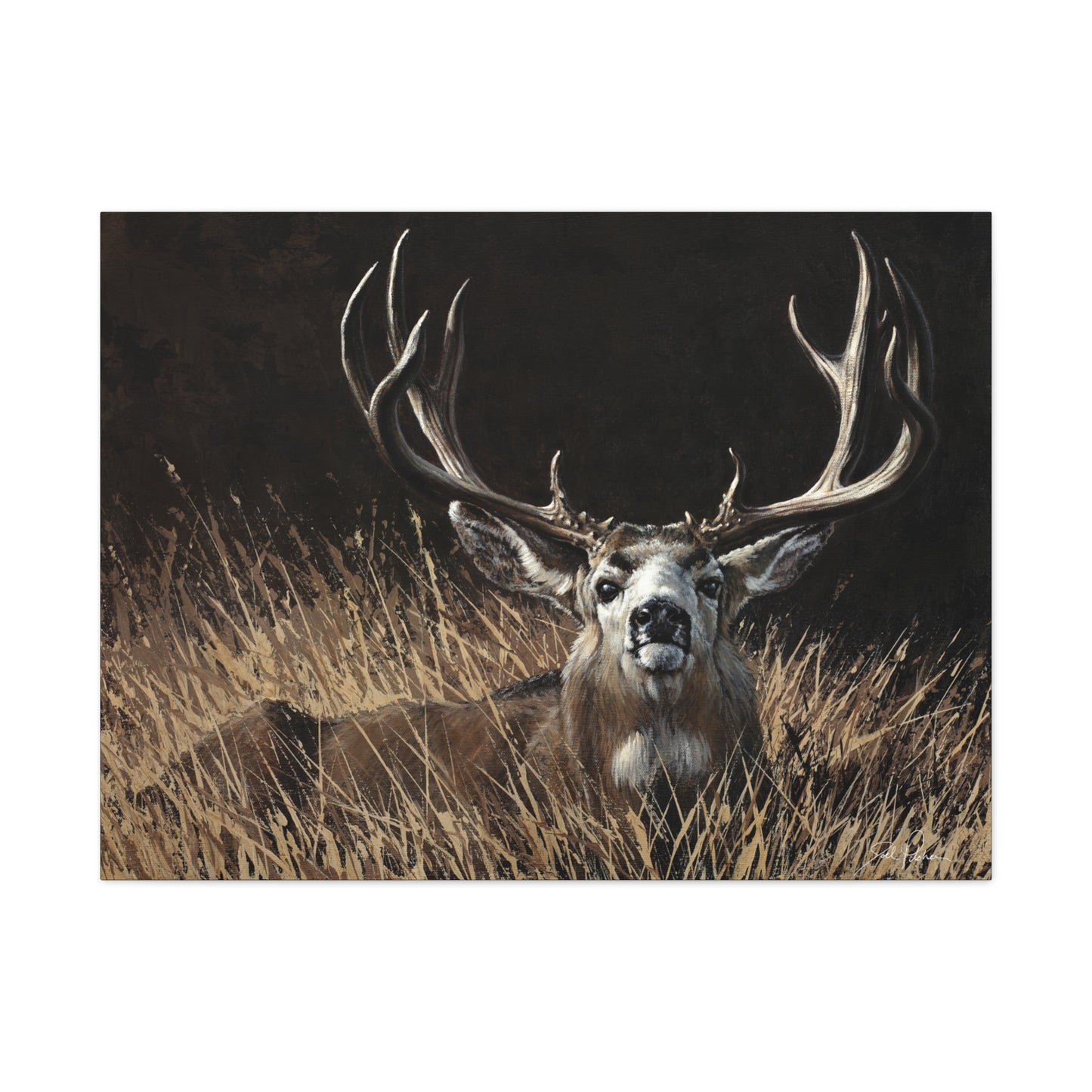 "Eye Contact" Stretched Canvas