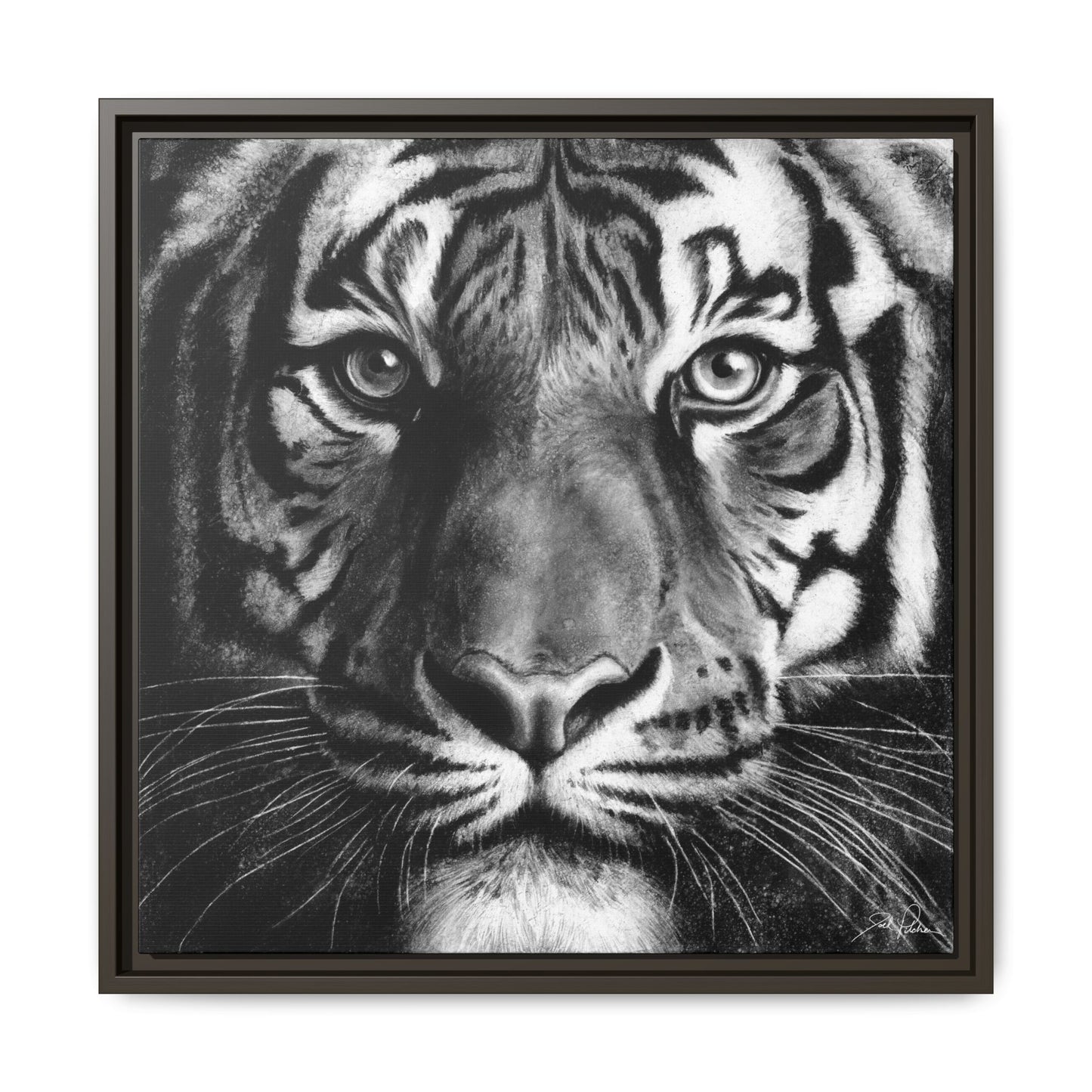"Tiger" Framed Canvas