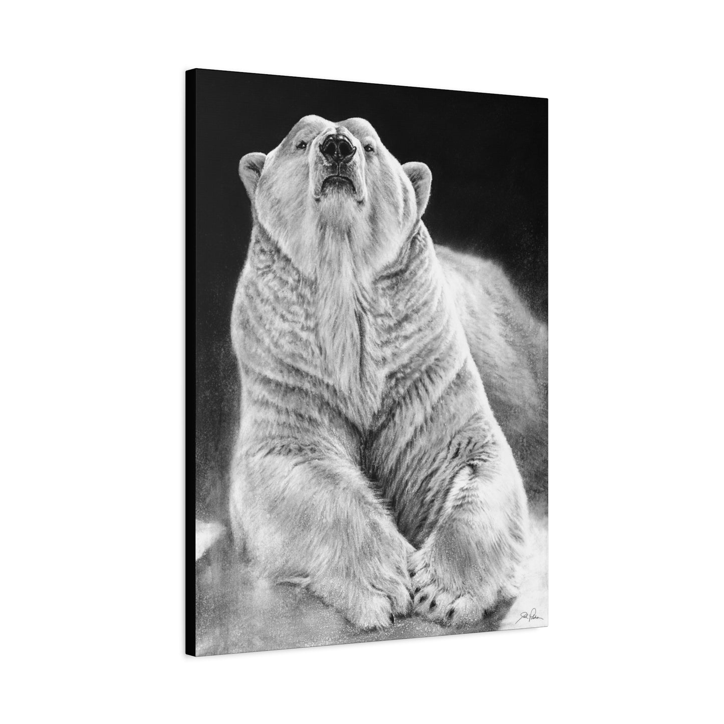 "Defiant" Stretched Canvas