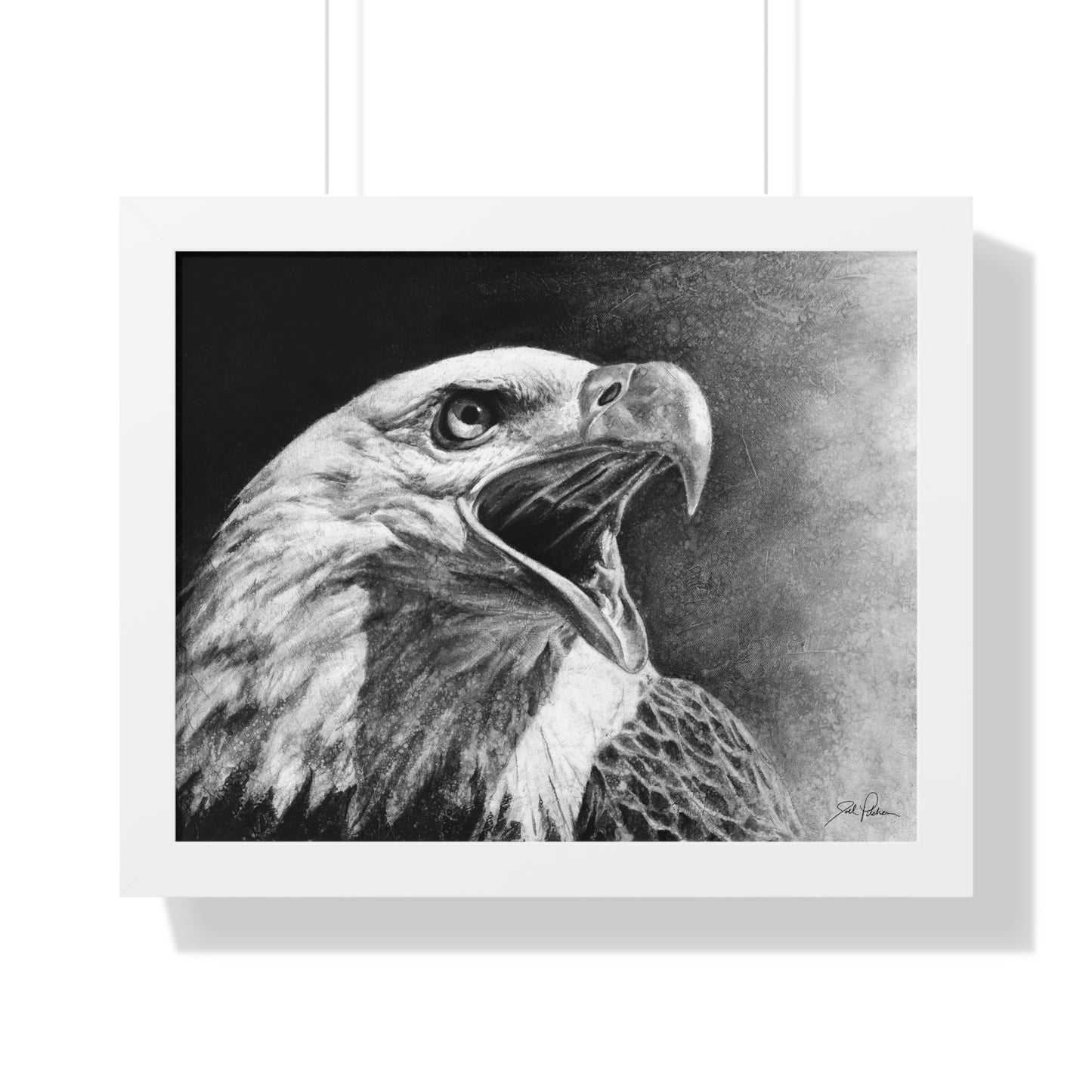 "Bald Eagle" Framed Paper Print