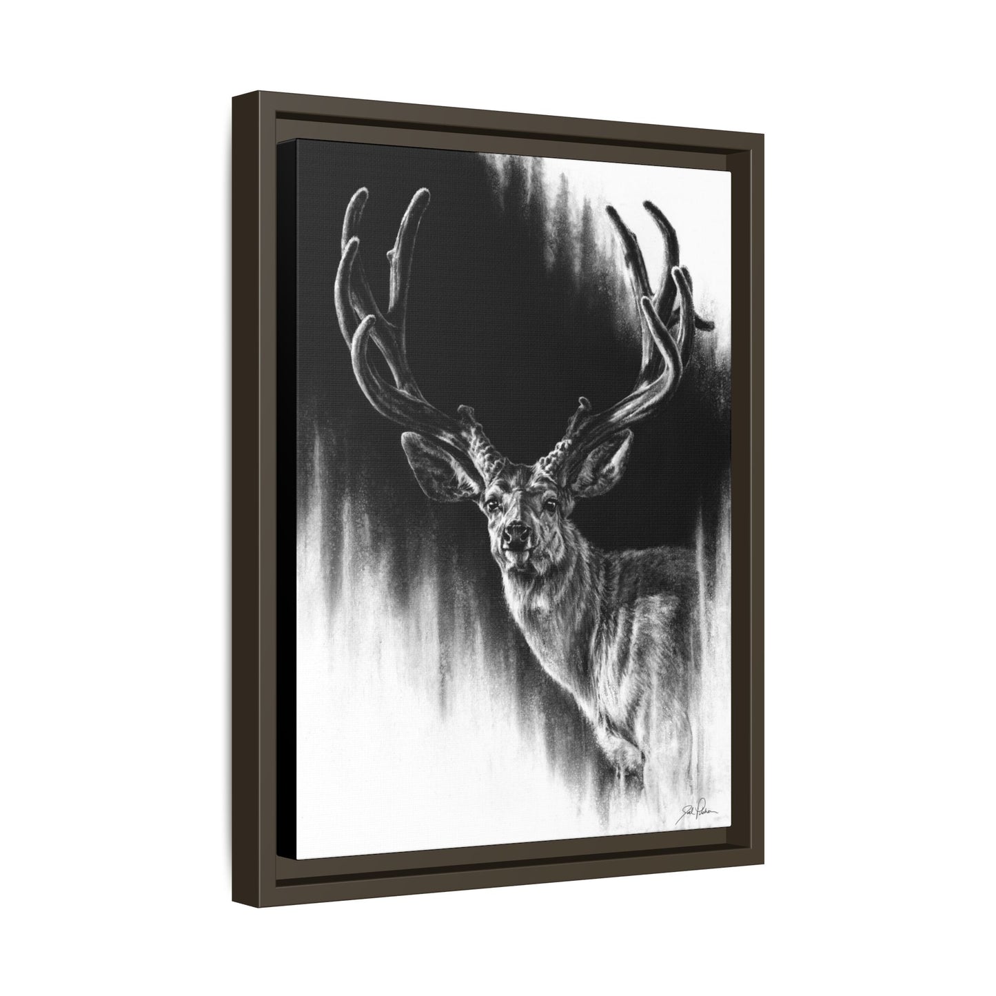 "Summer Swag" Framed Canvas