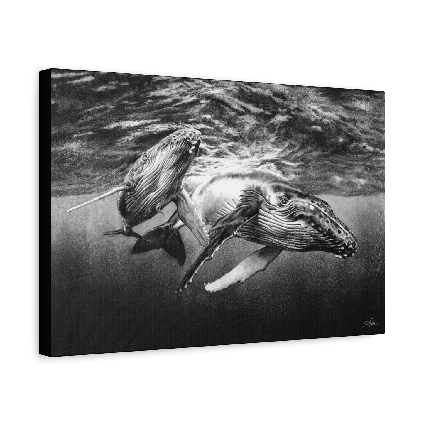 "Humpback Whales" Stretched Canvas