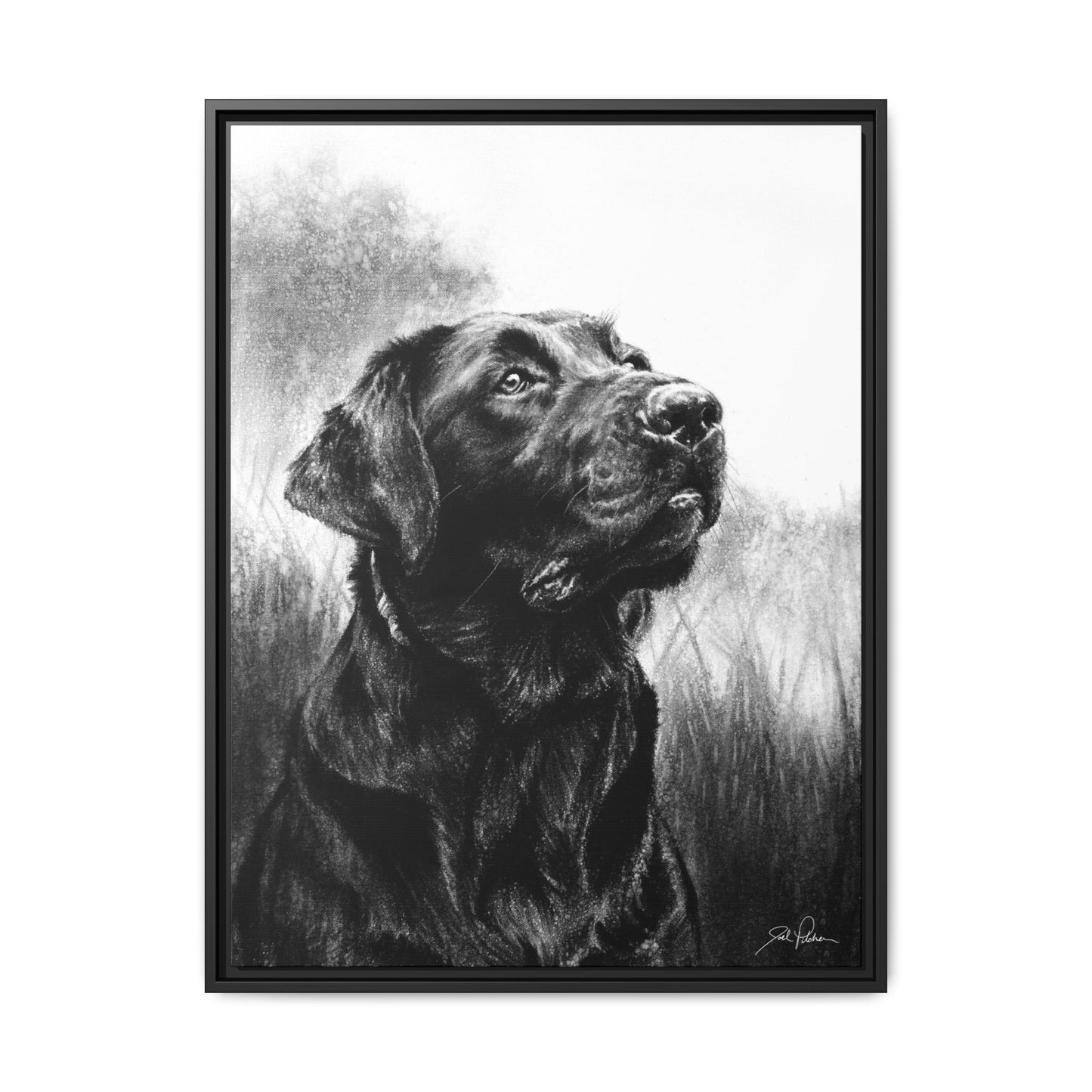 "Labrador Retriever" Framed Canvas