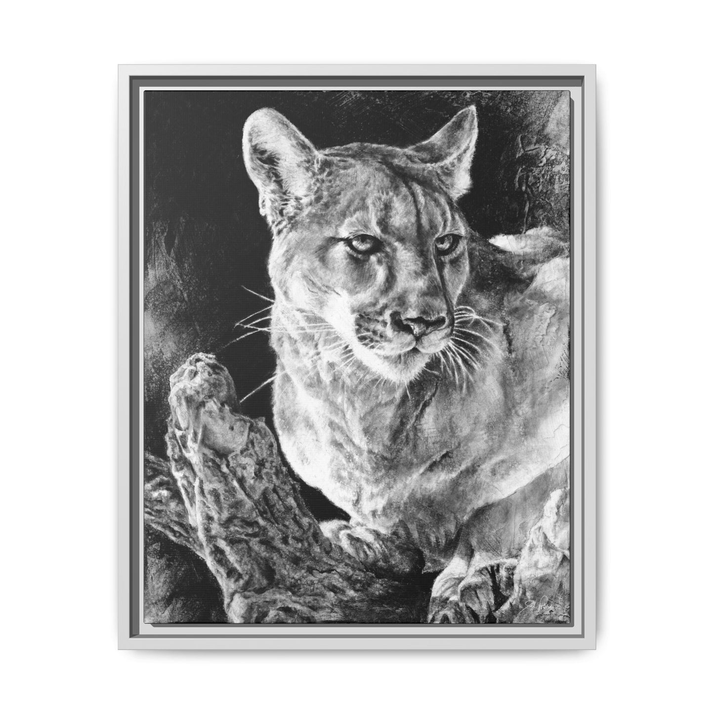 "Mountain Lion" Framed Canvas