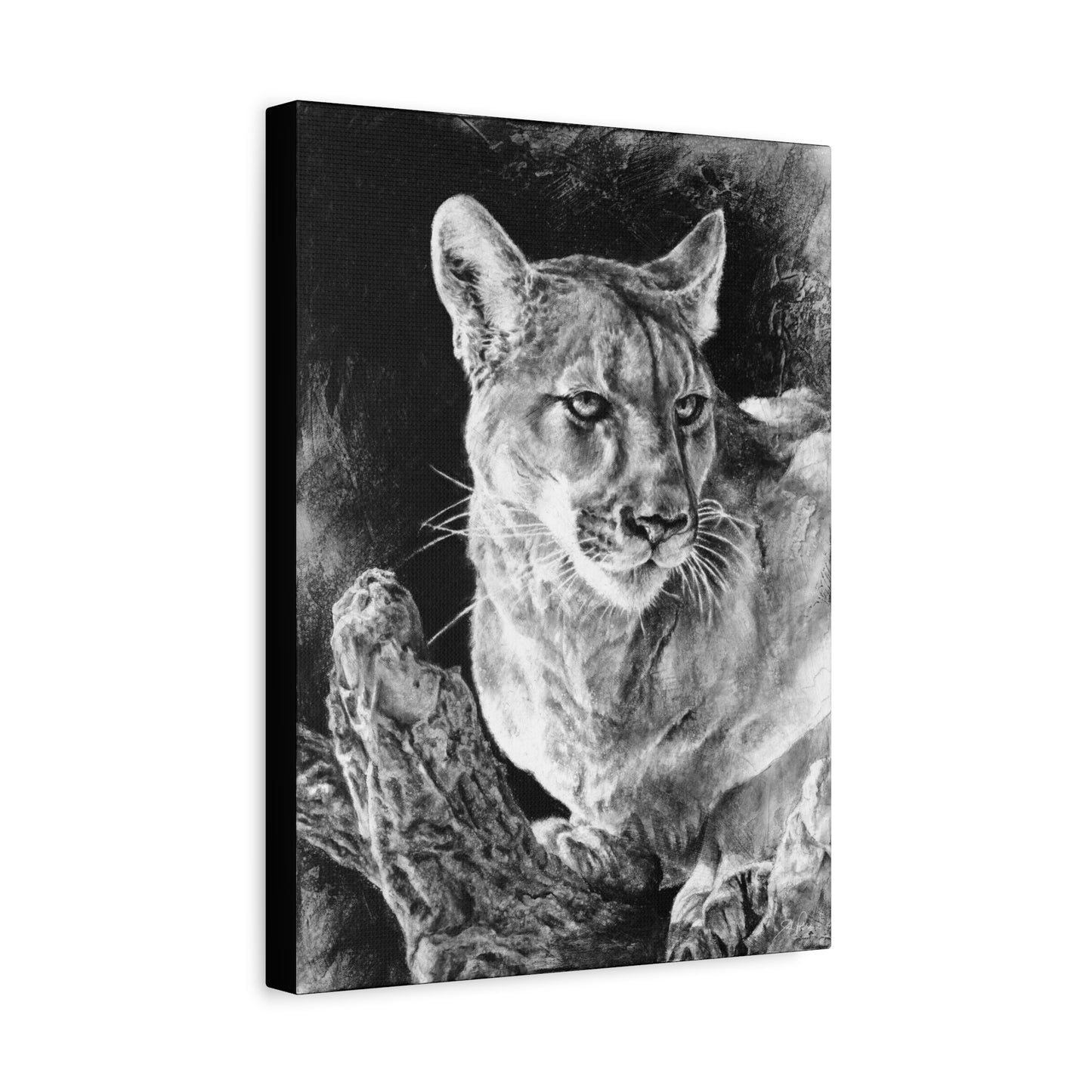 "Mountain Lion" Stretched Canvas