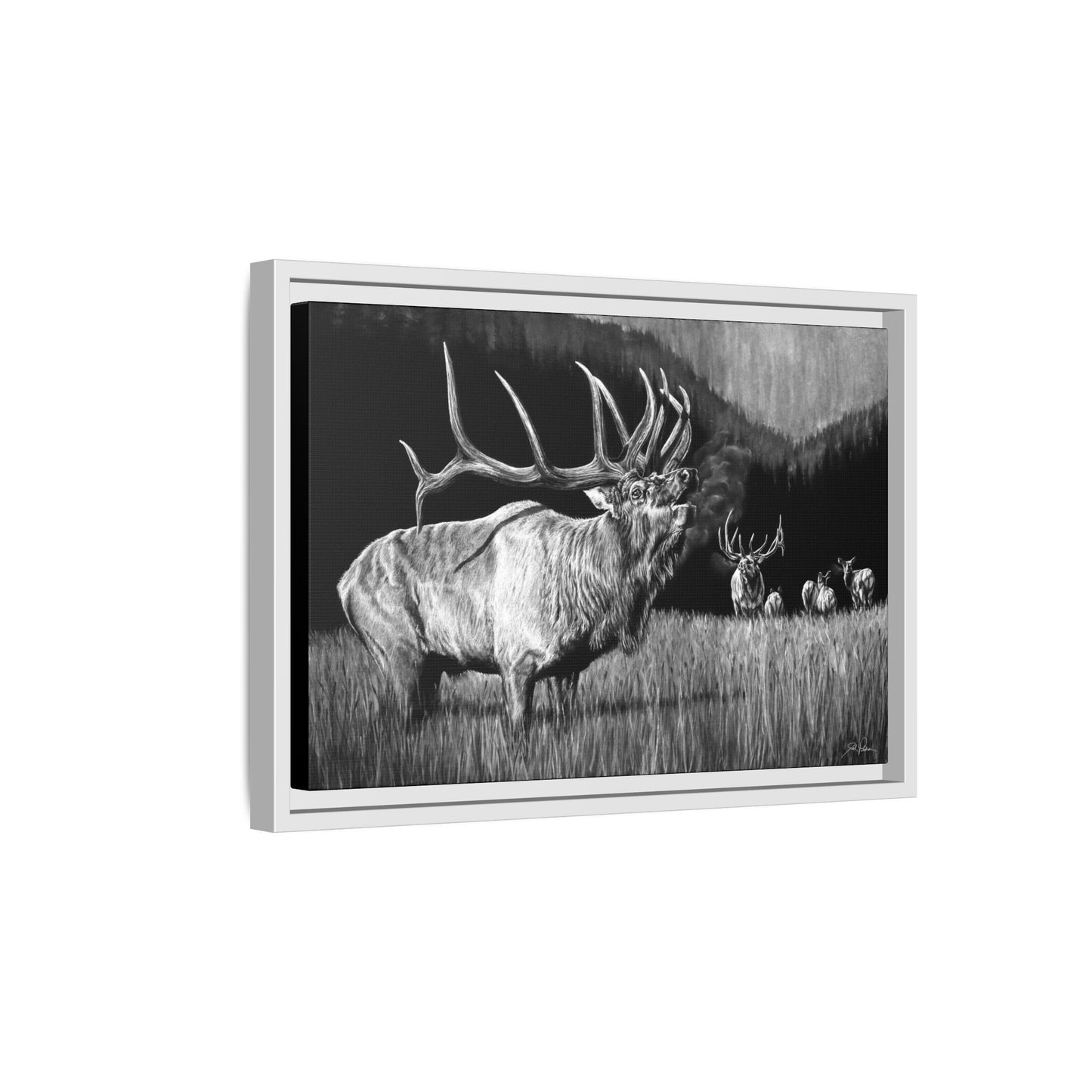 "The Contender" Framed Canvas