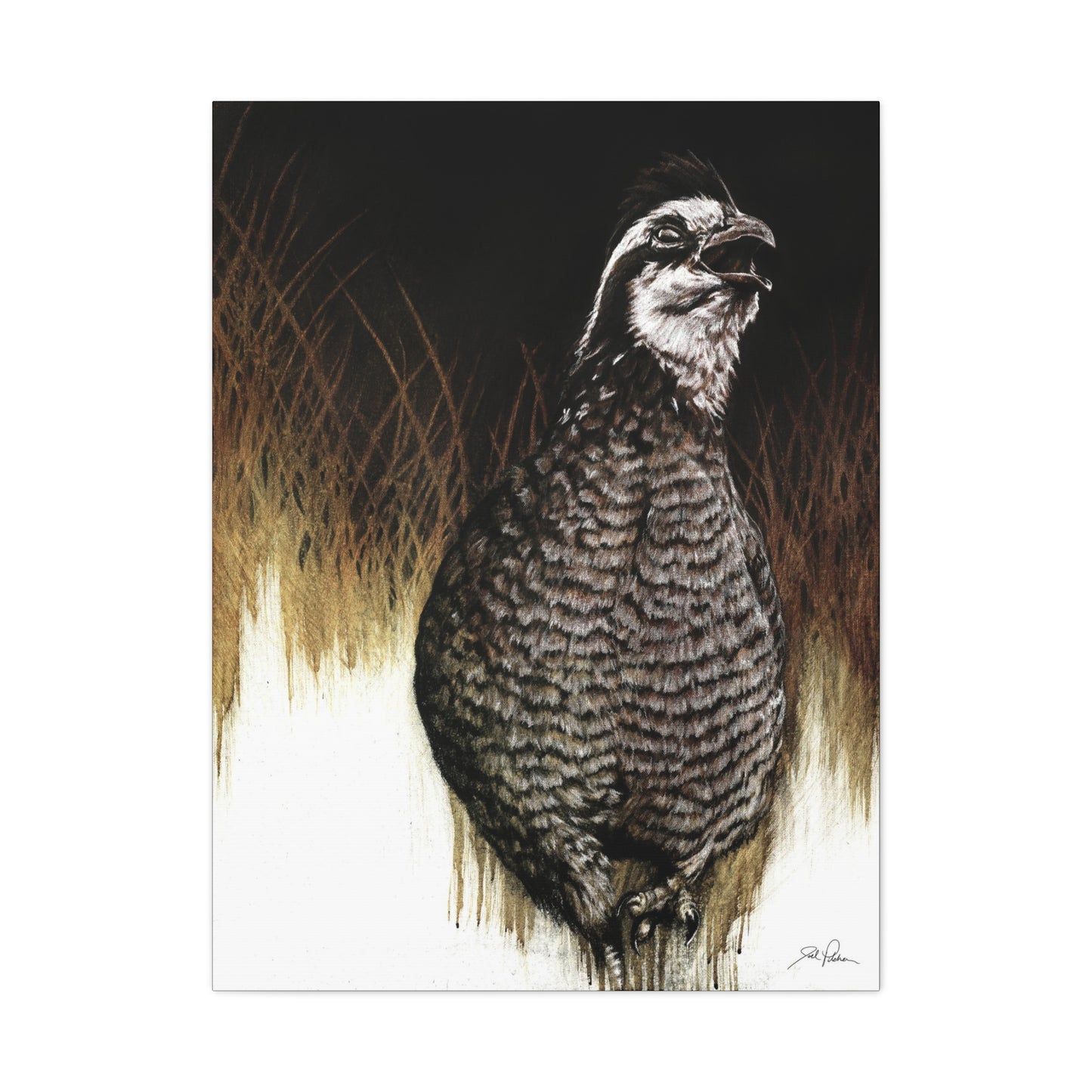 "Call of the Upland Quail" Stretched Canvas