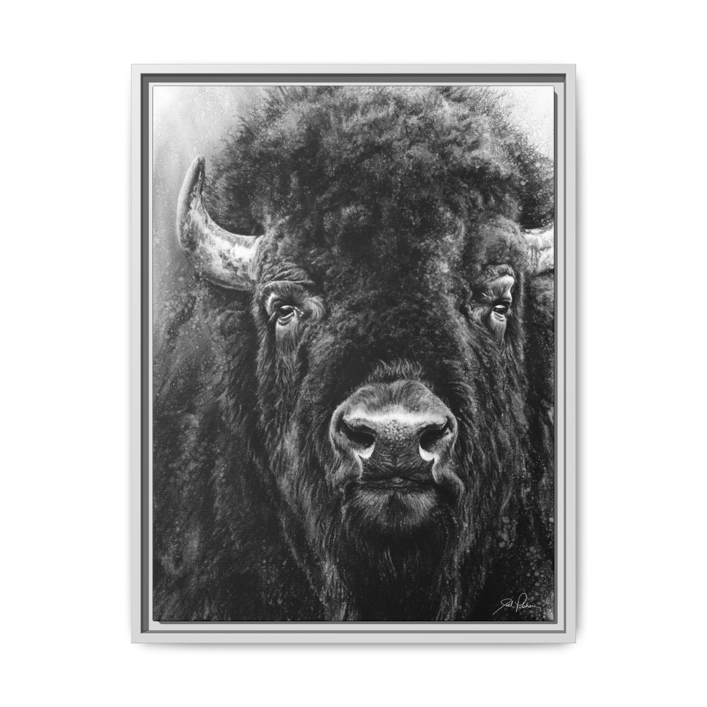 "Tatanka" Framed Canvas