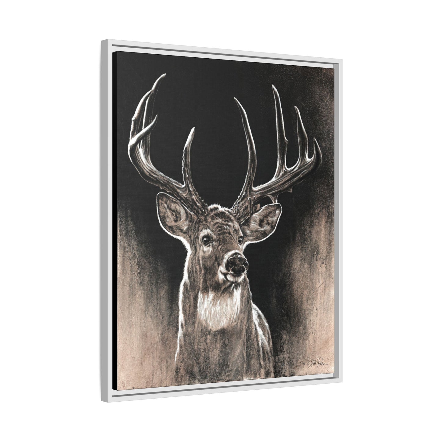 "Backlit Buck" Framed Canvas