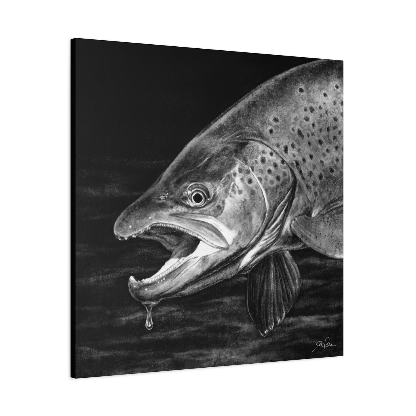 "Brown Trout" Stretched Canvas