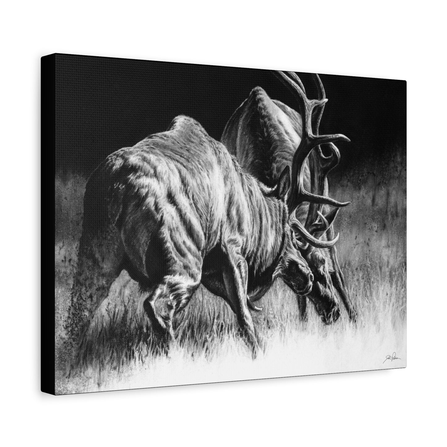 "Winner Takes All" Stretched Canvas