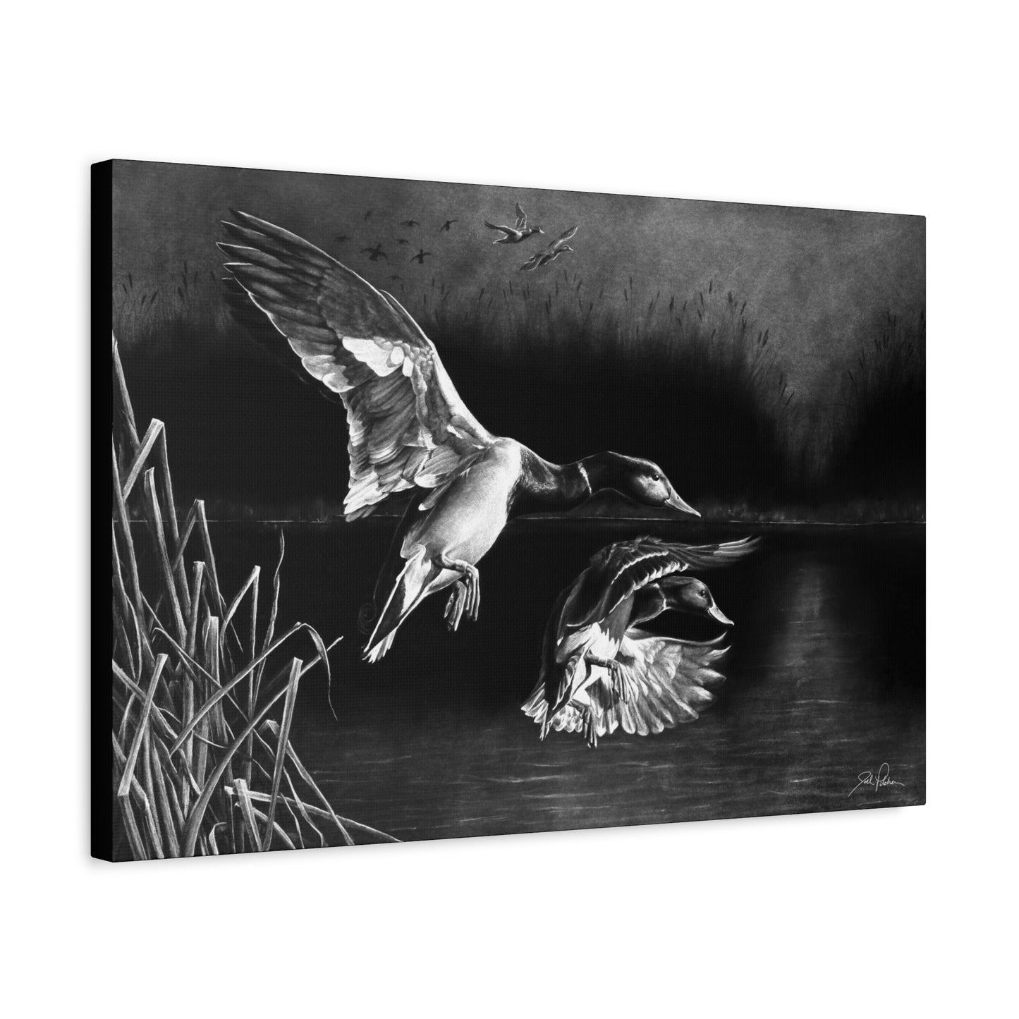 "Banded Brothers" Stretched Canvas
