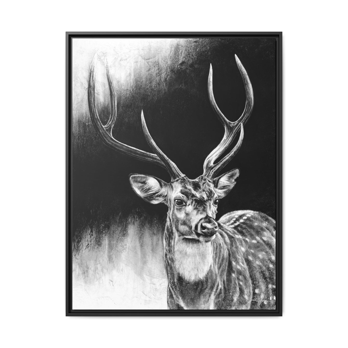 "Axis Buck" Framed Canvas