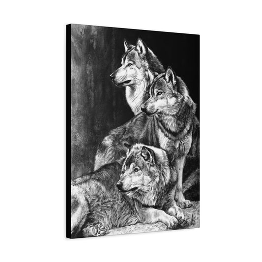 "Sentinels" Stretched Canvas