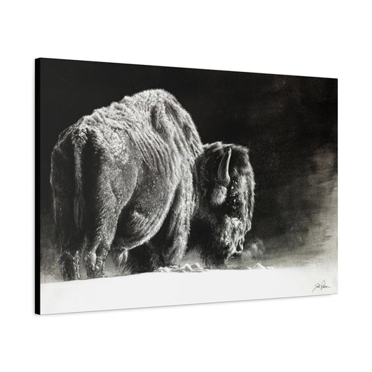 "Frosty" Stretched Canvas