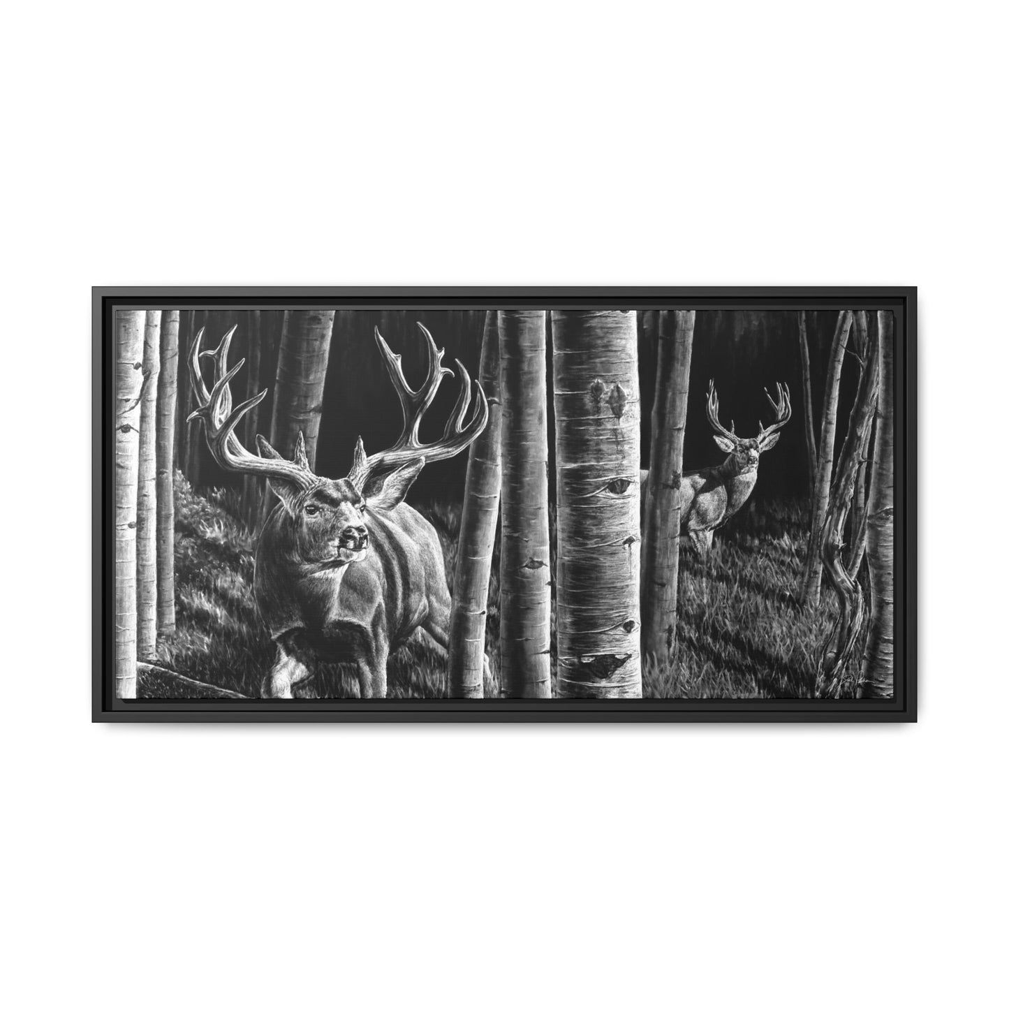 "Out of the Shadows" Framed Canvas