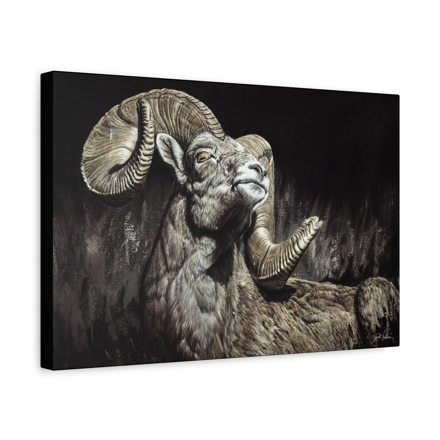 "Golden Eye" Stretched Canvas