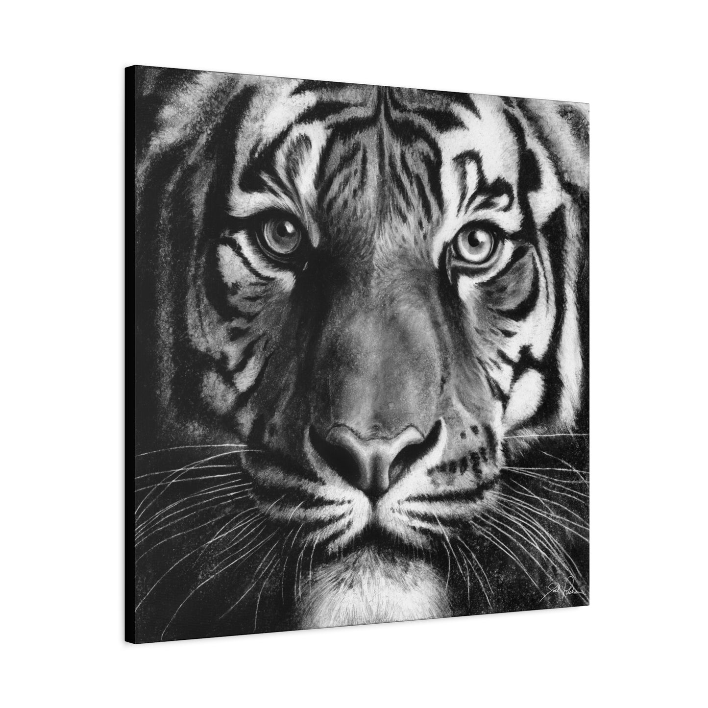 "Tiger" Stretched Canvas