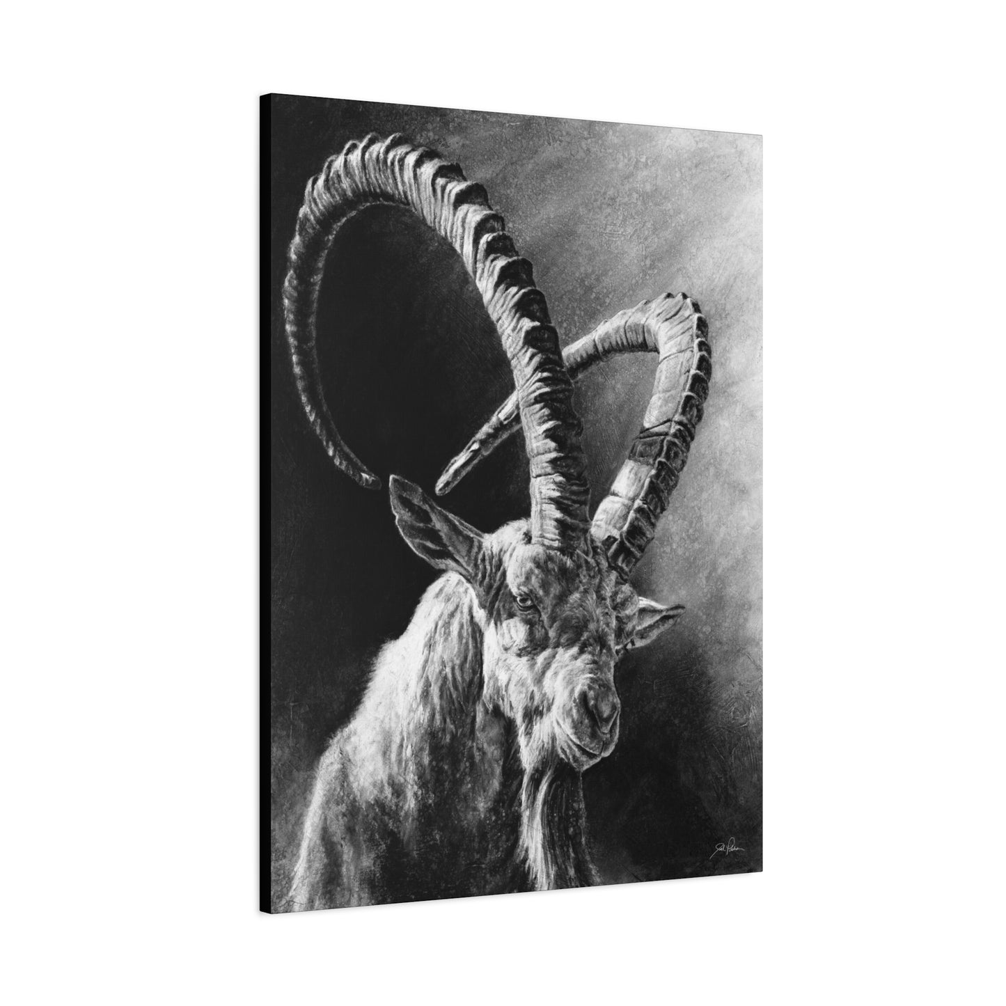 "Ibex" Stretched Canvas