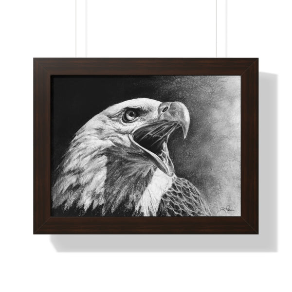 "Bald Eagle" Framed Paper Print