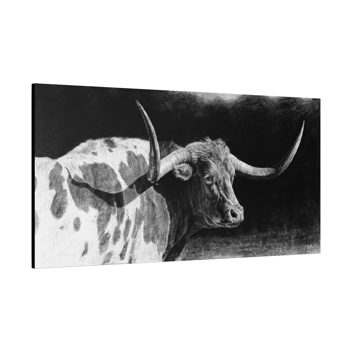 "Longhorn II" Stretched Canvas