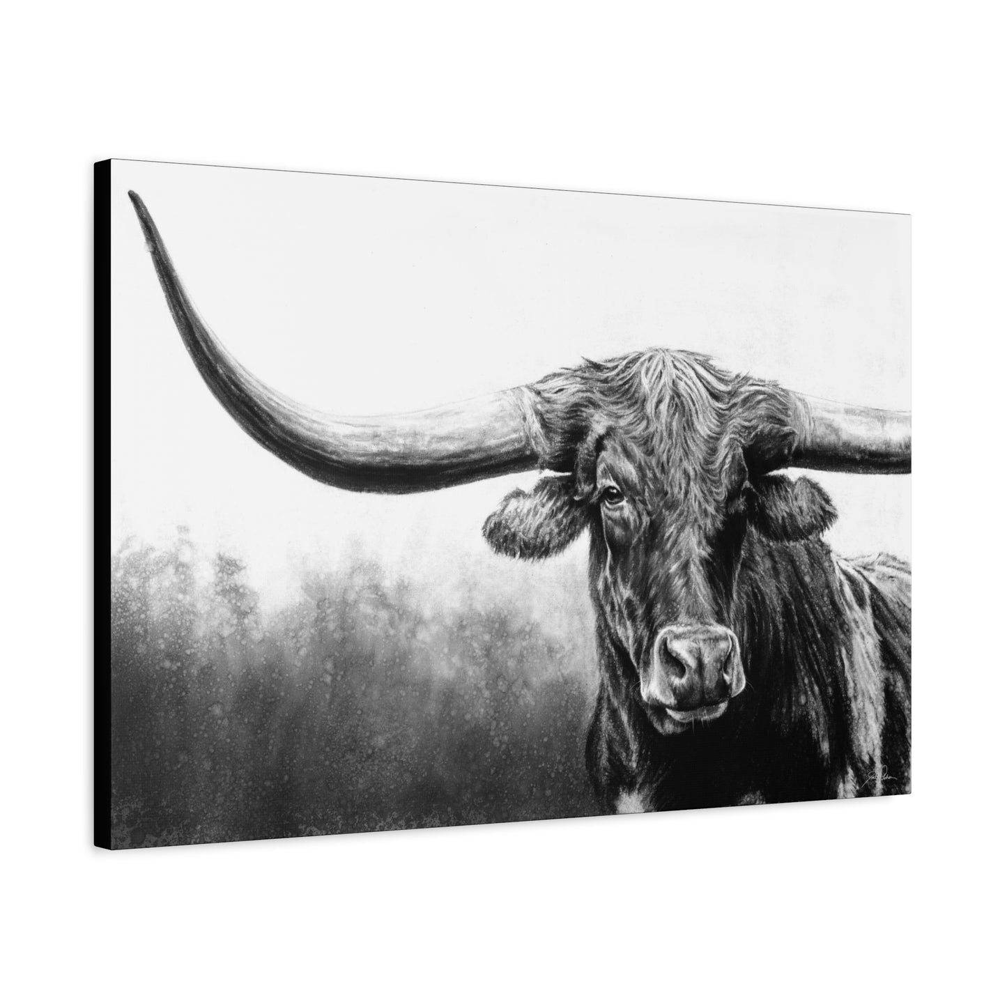 "Longhorn" Stretched Canvas