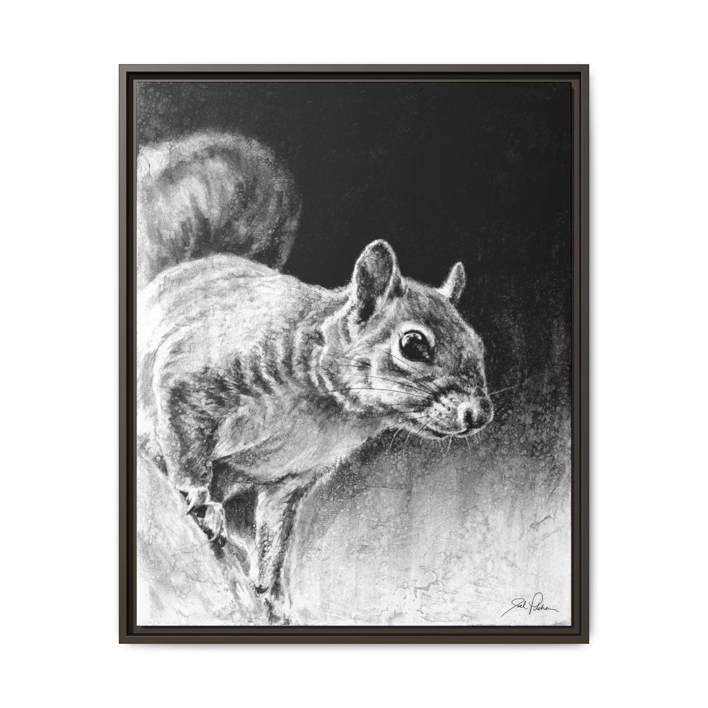 "Squirrel" Framed Canvas