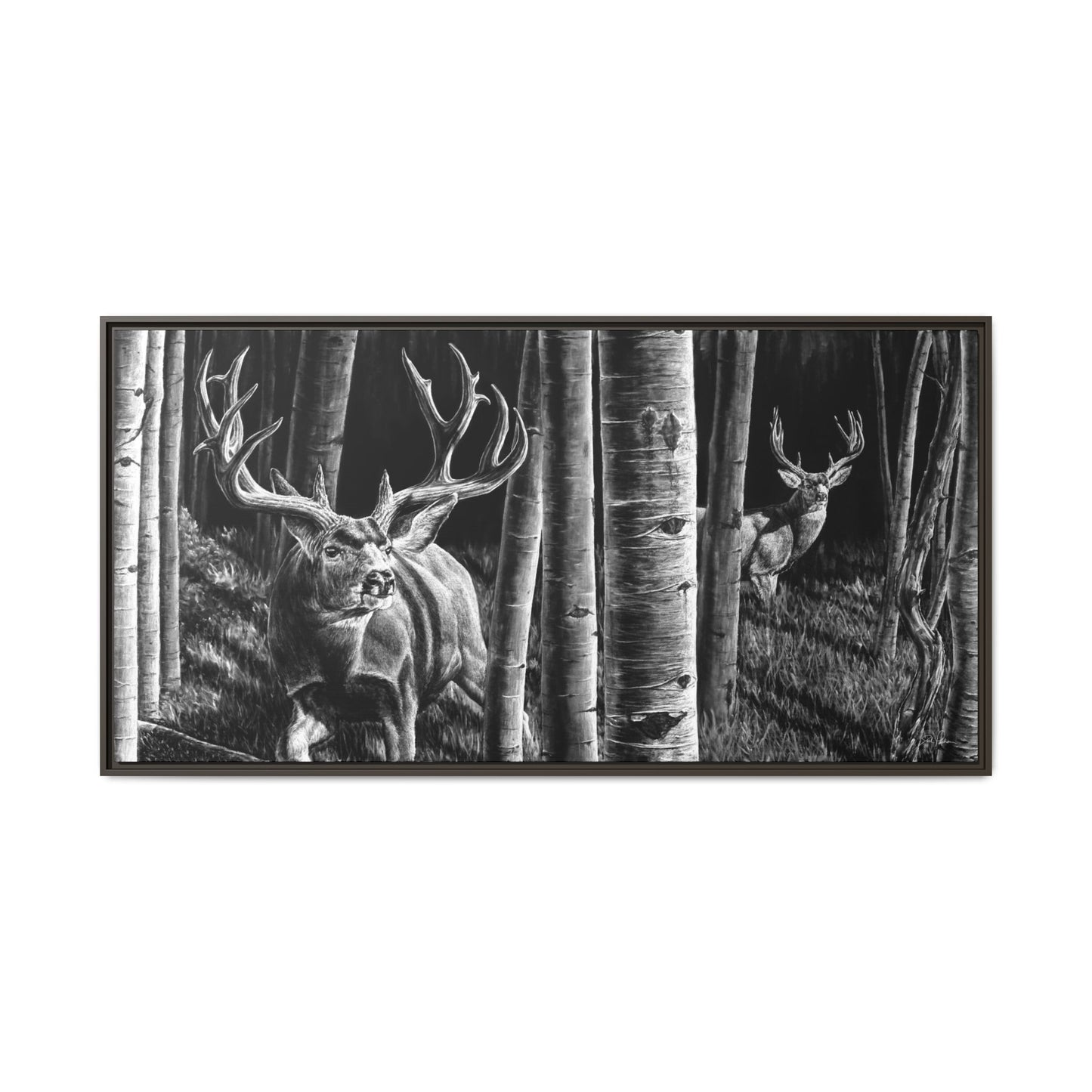 "Out of the Shadows" Framed Canvas