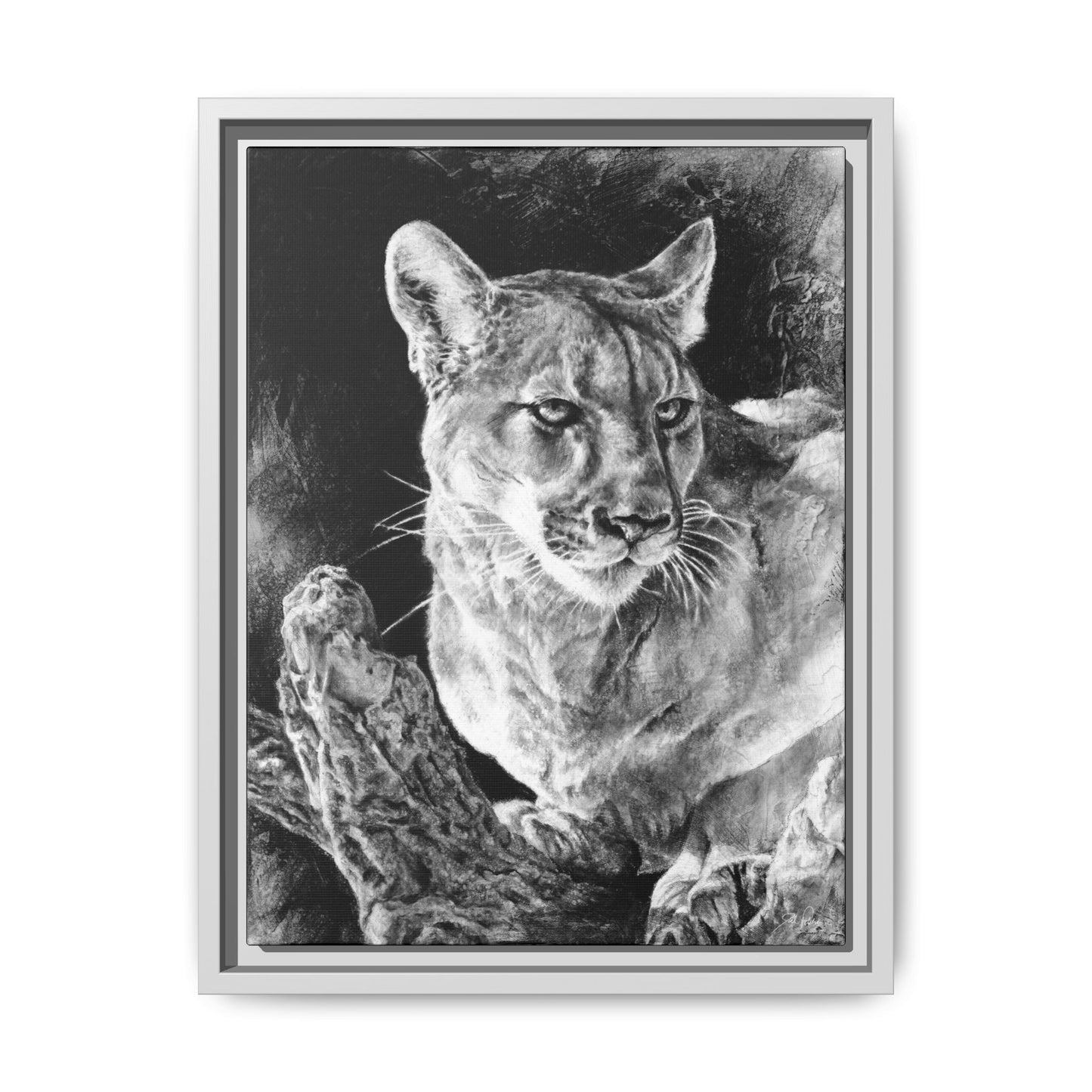 "Mountain Lion" Framed Canvas