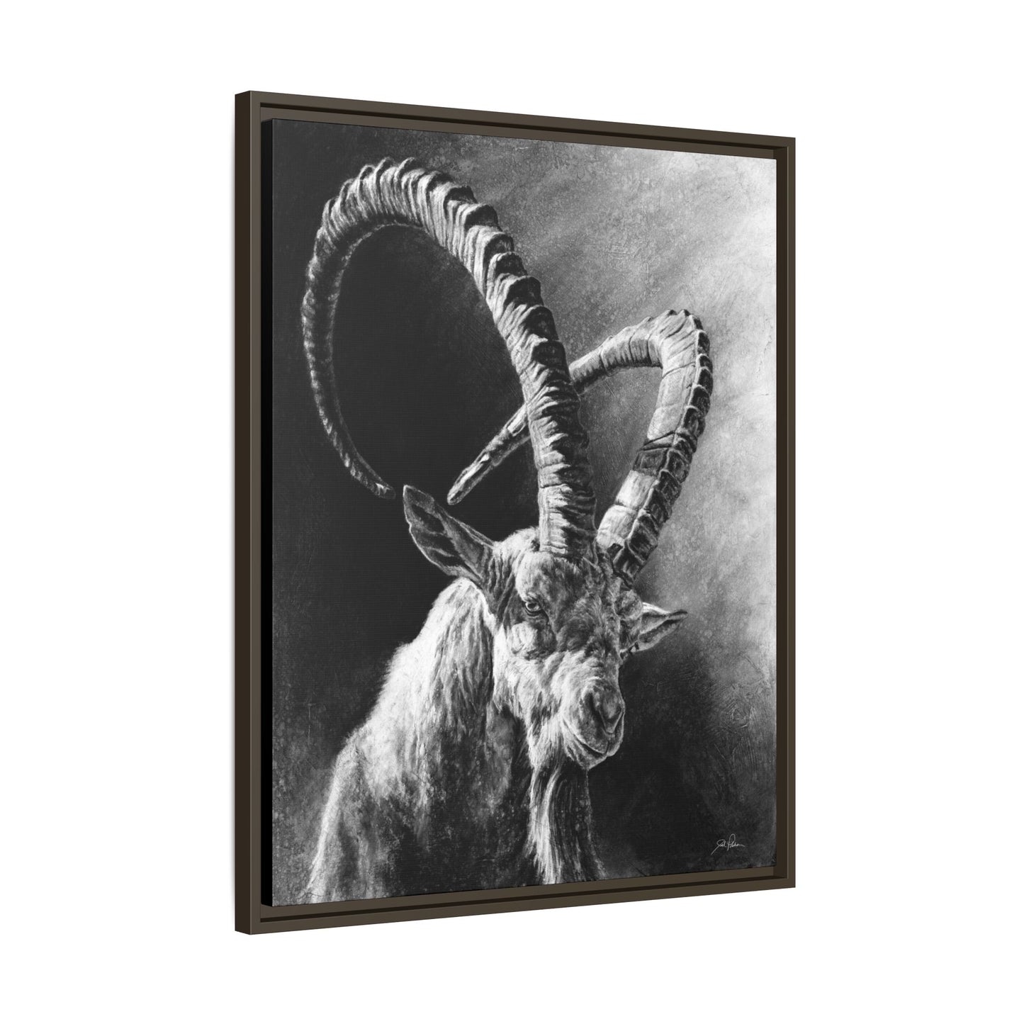 "Ibex" Framed Canvas