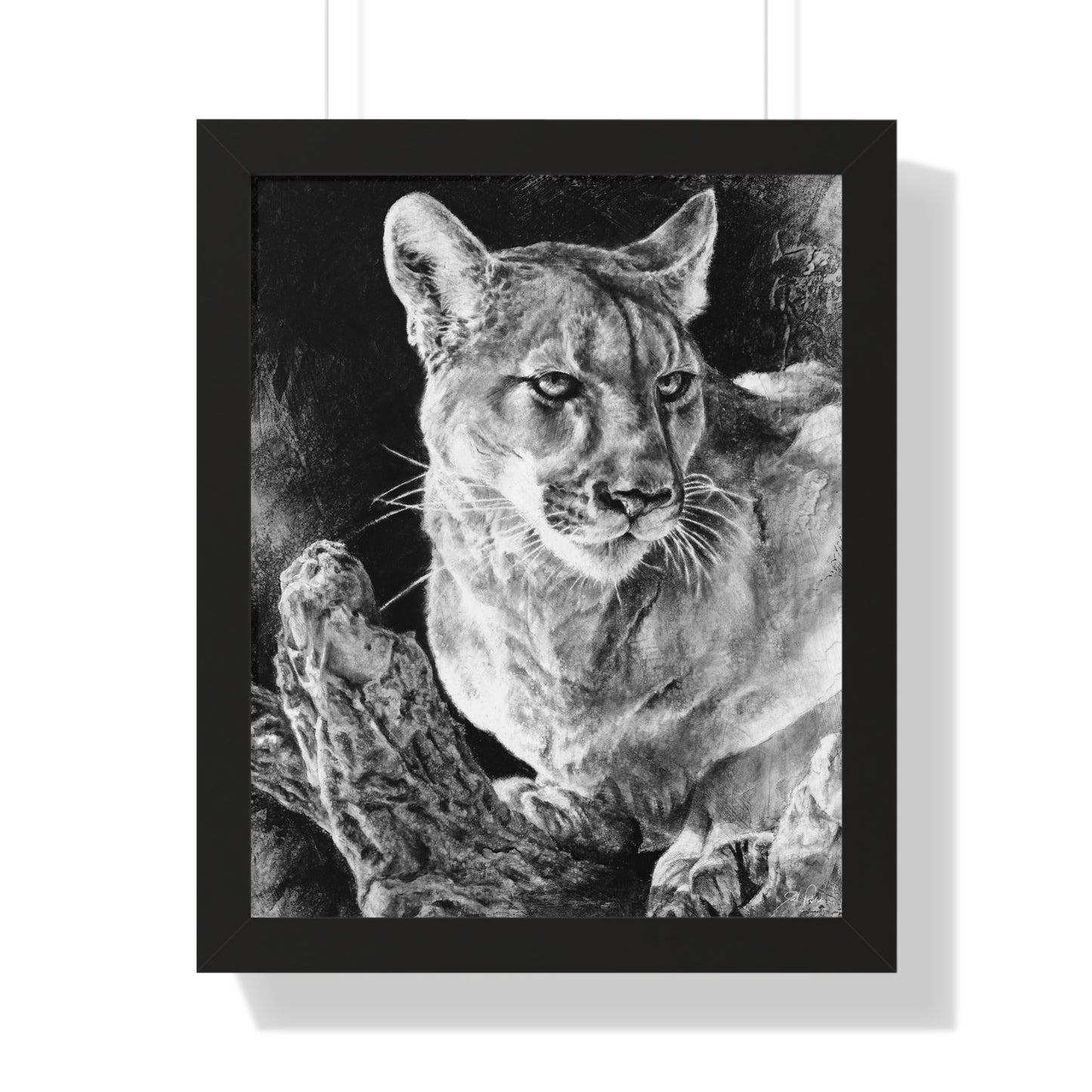 "Mountain Lion" Framed Paper Print