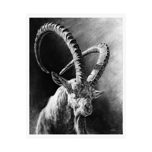 "Ibex" Premium Matte Paper Print.