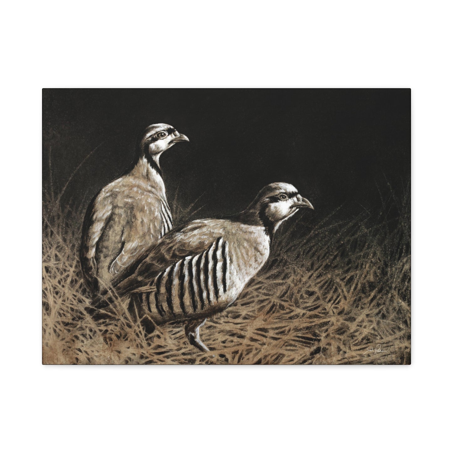 "Chukars" Stretched Canvas