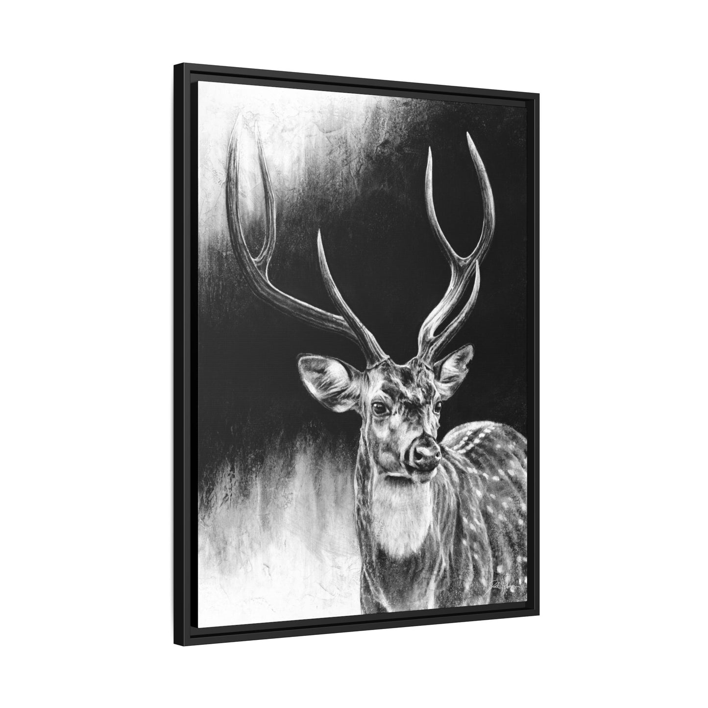 "Axis Buck" Framed Canvas