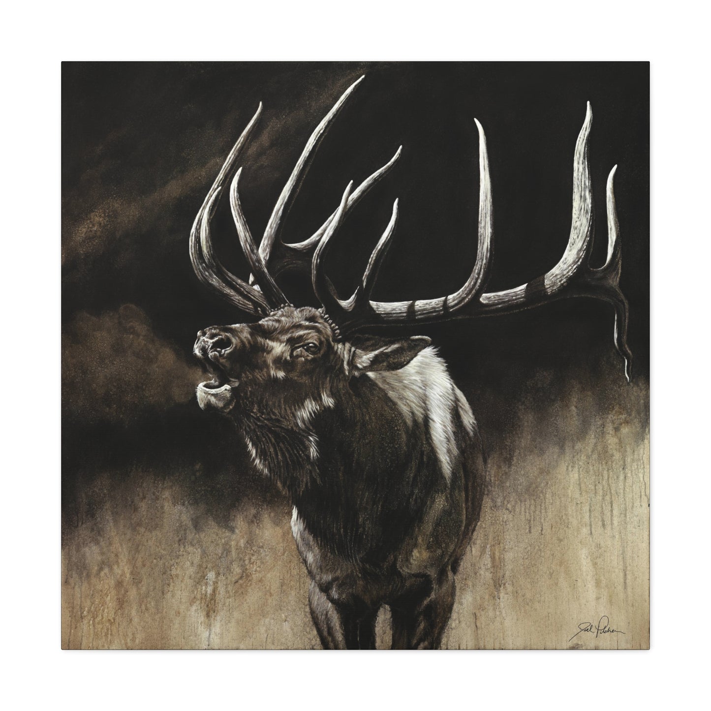 "Call of the Wild" Stretched Canvas