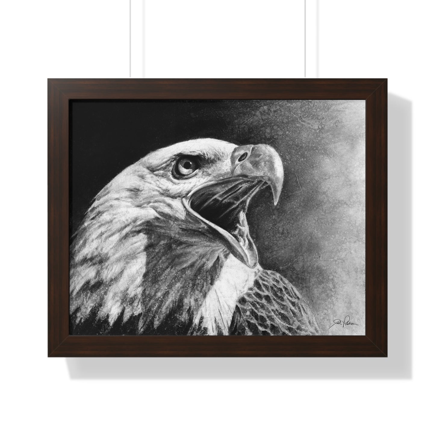 "Bald Eagle" Framed Paper Print