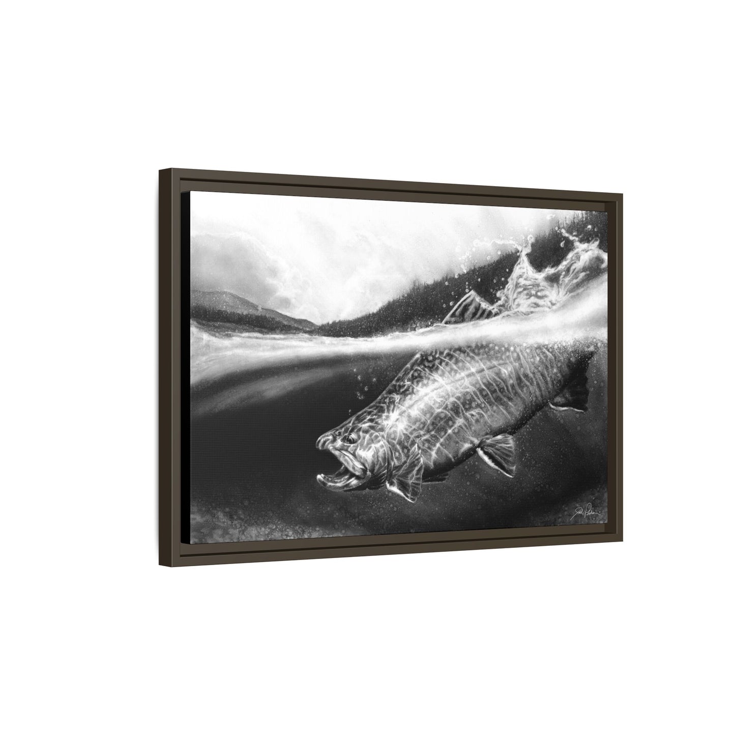 "Brook Trout" Framed Canvas