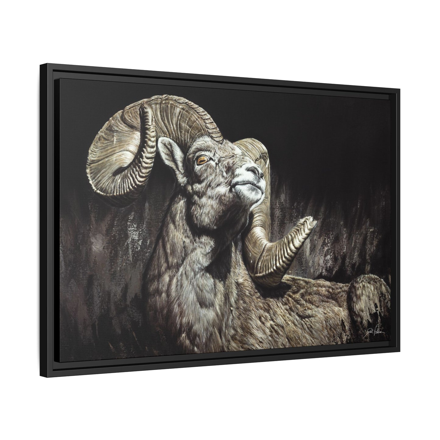 "Golden Eye" Framed Canvas
